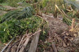 When ‘Mad Melissa’ comes storming through When ‘Mad Melissa’ comes storming through